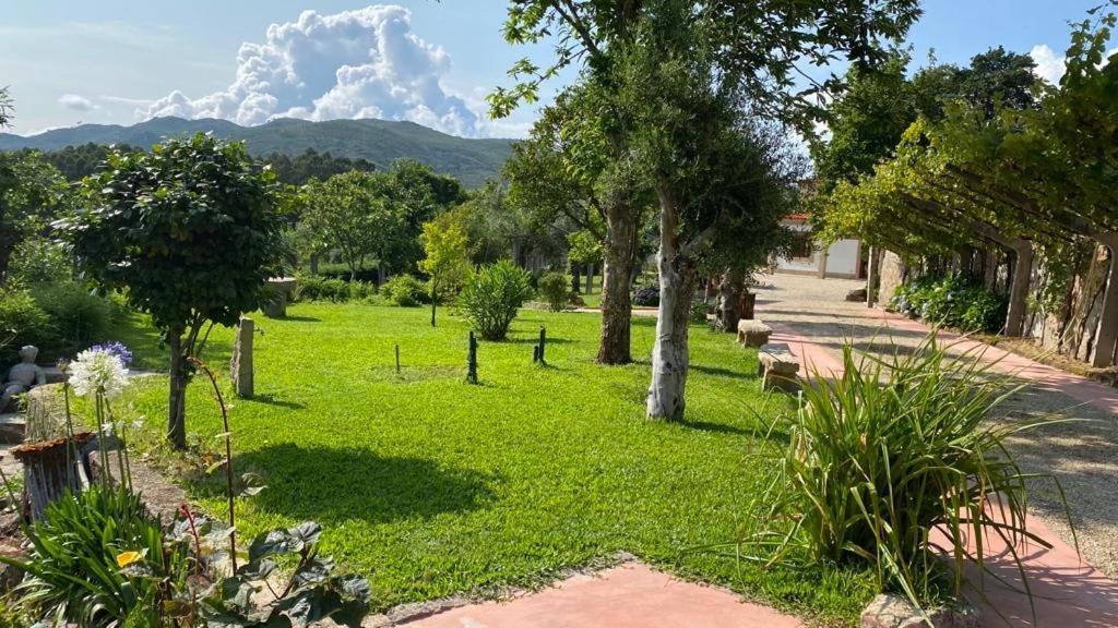 Quinta Dos Amores Ponte de Lima Exterior foto